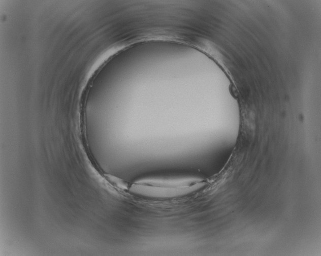 X0000071831147200607211755