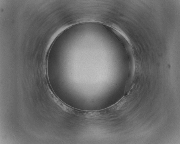 X0000071831148200607211755