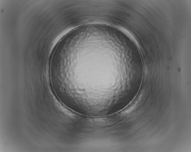 X0000071831149200607211755