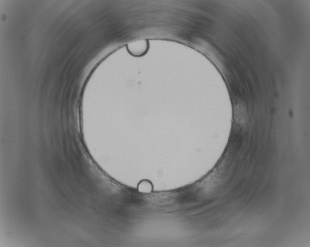 X0000071831150200607211755