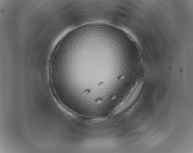 X0000071831151200607211755