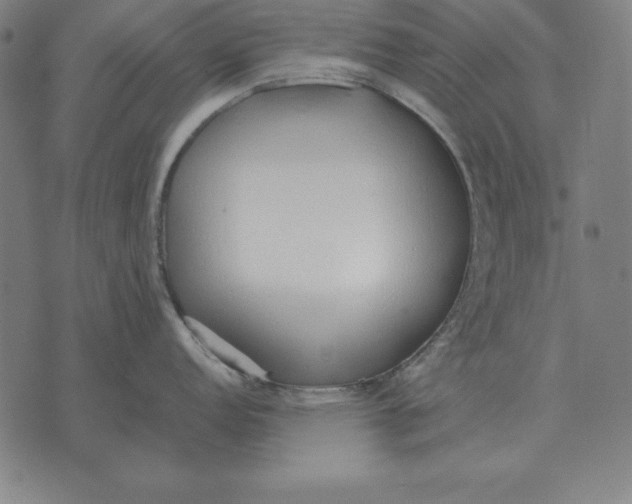 X0000071831152200607211755