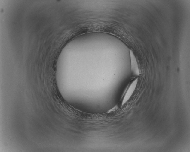 X0000071831153200607211754