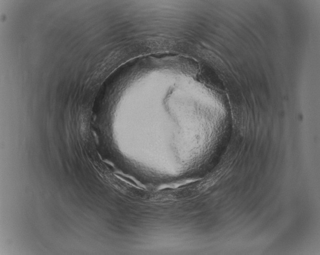 X0000071831154200607211754