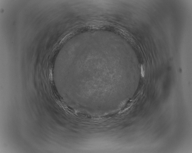 X0000071831155200607211754