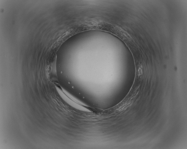 X0000071831156200607211754