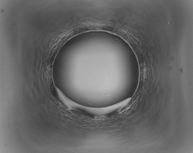 X0000071831157200607211754