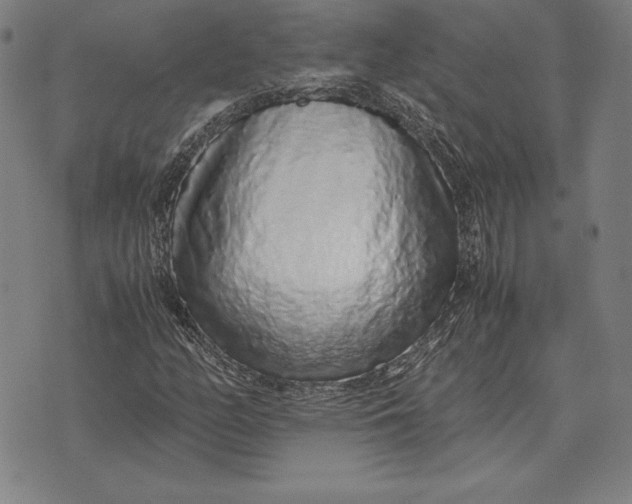 X0000071831158200607211754