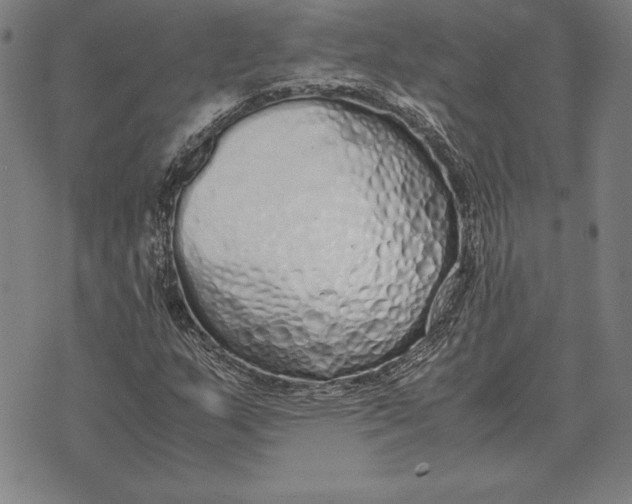 X0000071831159200607211754