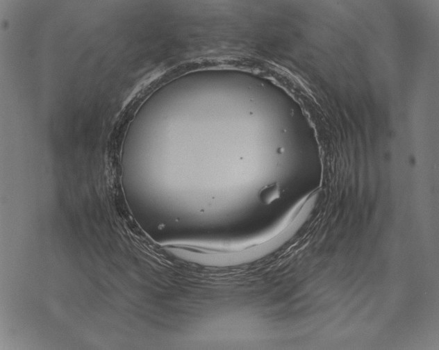 X0000071831160200607211754