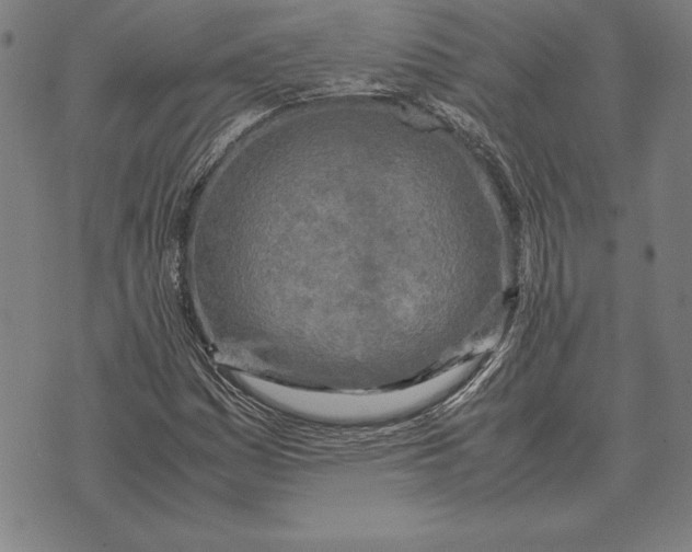 X0000071831161200607211754