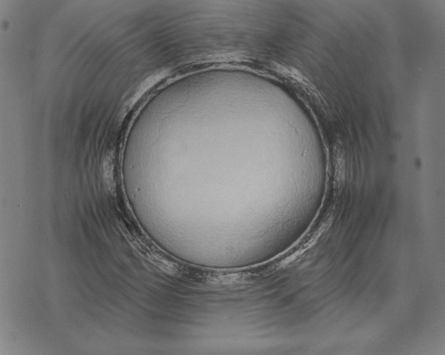 X0000071831162200607211754