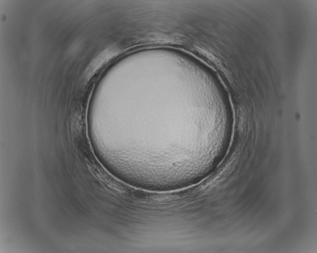 X0000071831163200607211754