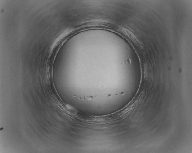 X0000071831164200607211754