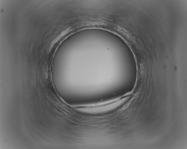 X0000071831165200607211754