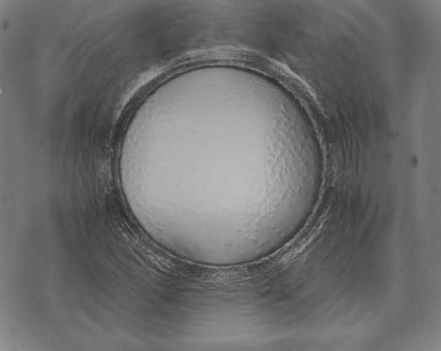 X0000071831166200607211754