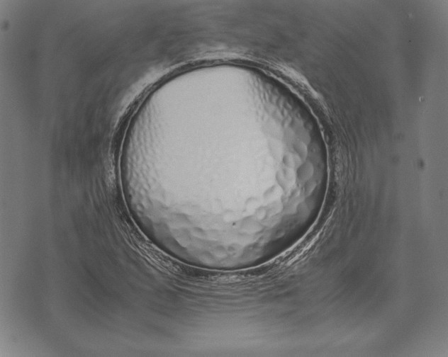 X0000071831167200607211754