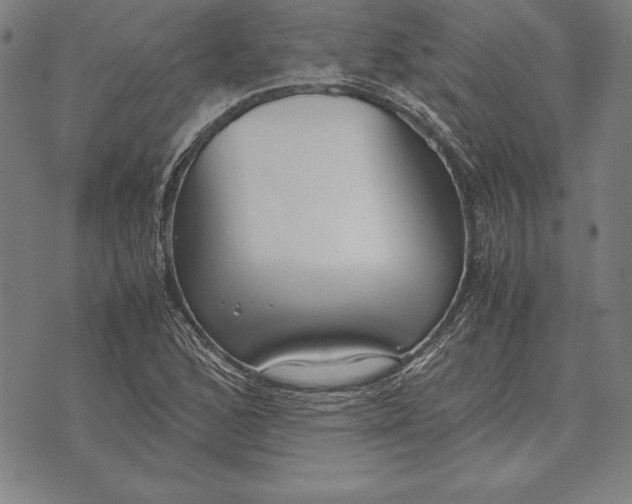 X0000071831168200607211754