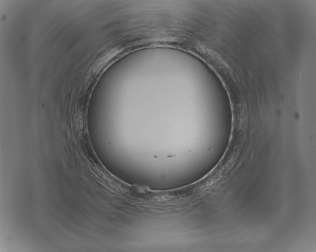 X0000071831169200607211754