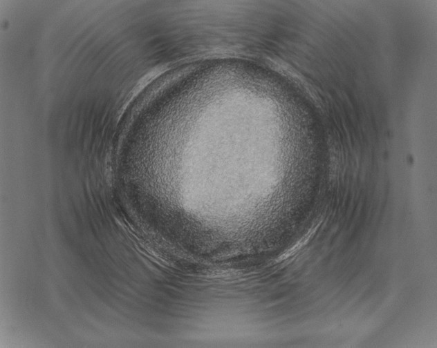 X0000071831170200607211754