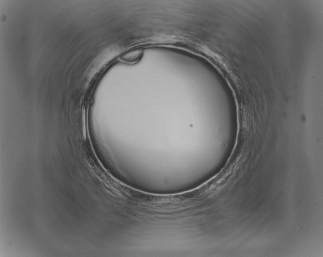 X0000071831171200607211754