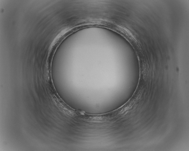 X0000071831172200607211754