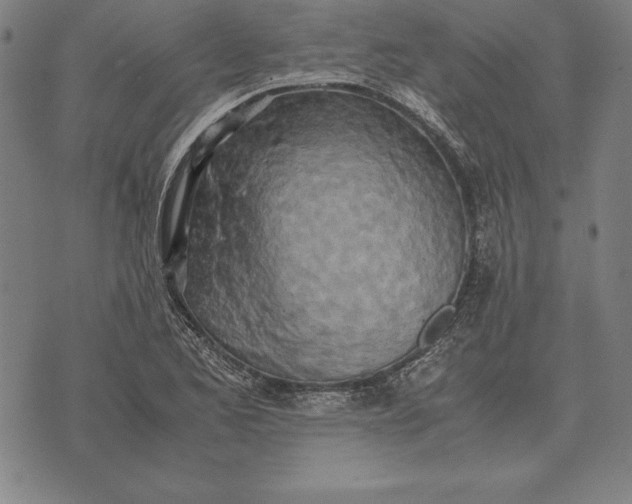 X0000071831173200607211754