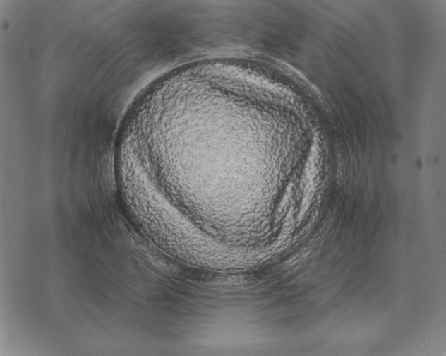 X0000071831174200607211754