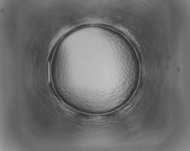 X0000071831175200607211754