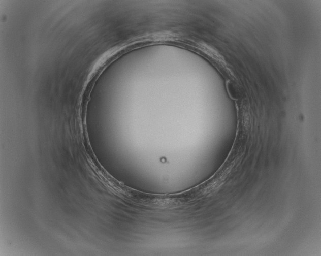 X0000071831176200607211754