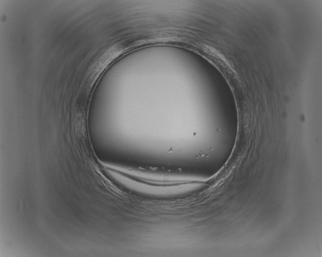 X0000071831177200607211754