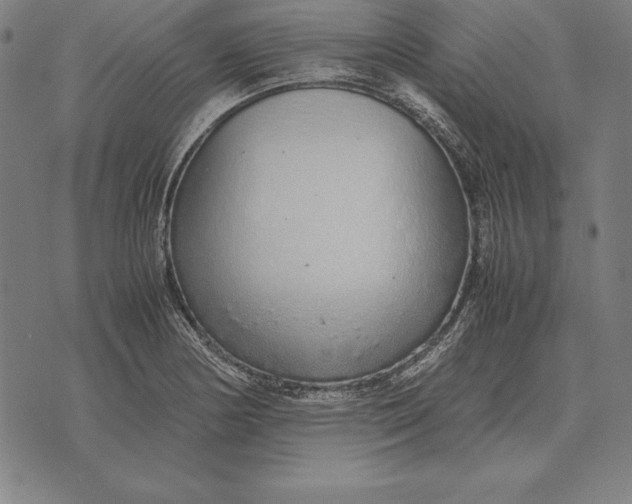 X0000071831178200607211754