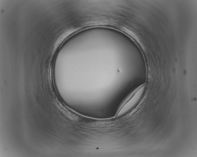 X0000071831179200607211754