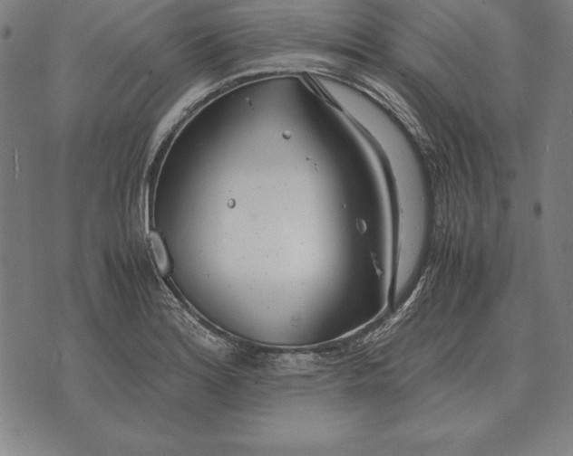 X0000071831180200607211754