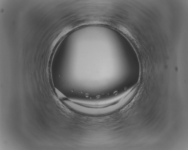 X0000071831181200607211754