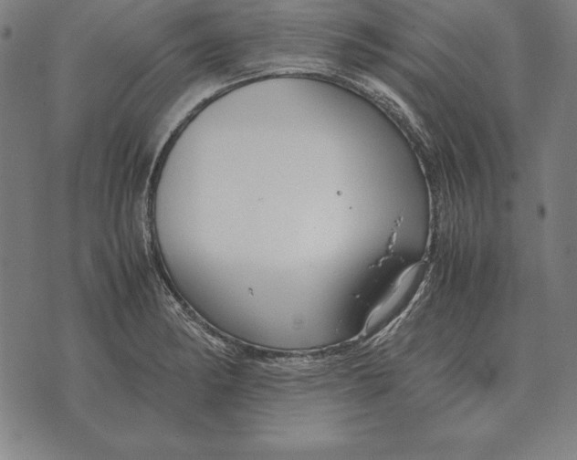 X0000071831182200607211754