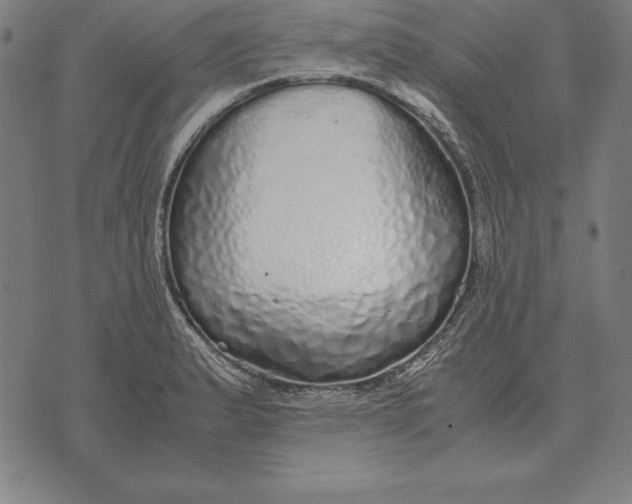 X0000071831183200607211754