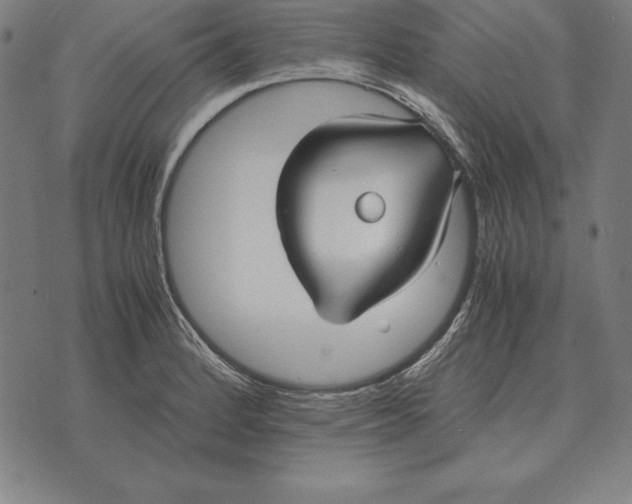 X0000071831184200607211754