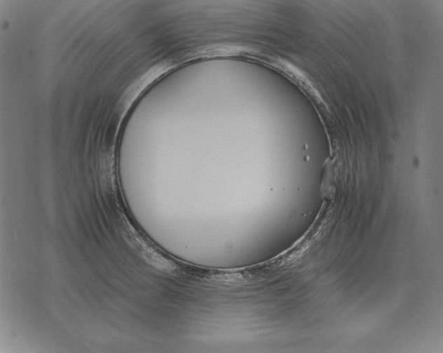 X0000071831186200607211754