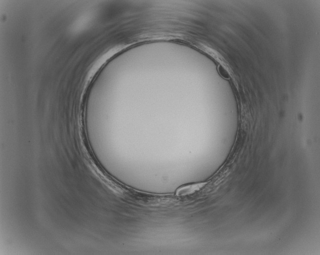 X0000071831187200607211754