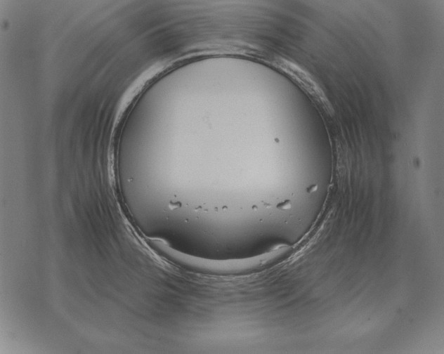 X0000071831188200607211754