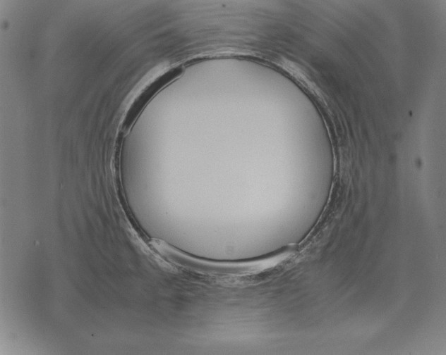 X0000071831189200607211754