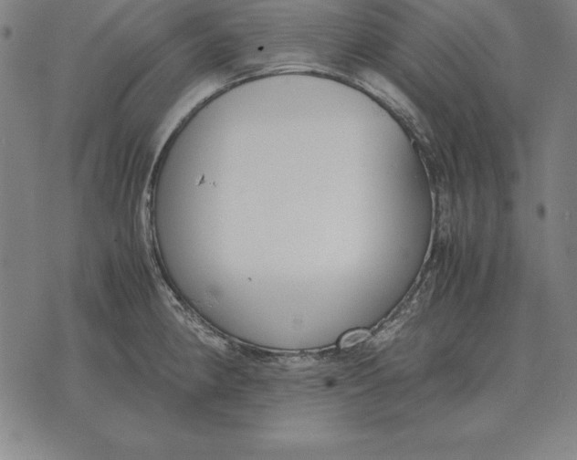 X0000071831190200607211754