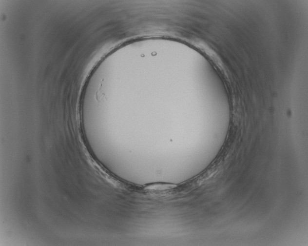 X0000071831191200607211754