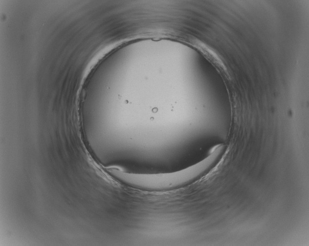 X0000071831192200607211754