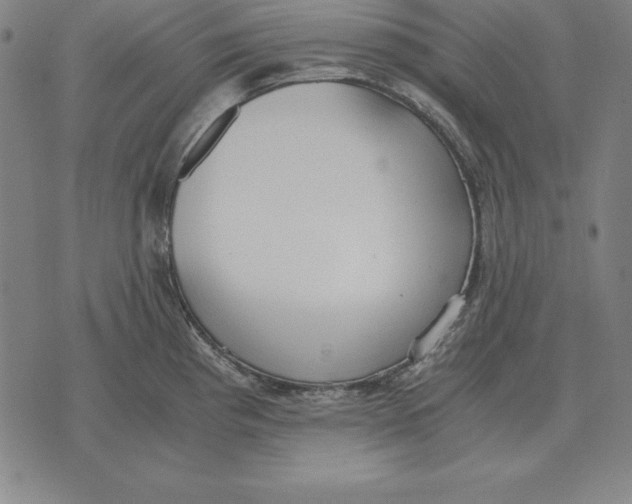 X0000071831193200607211754