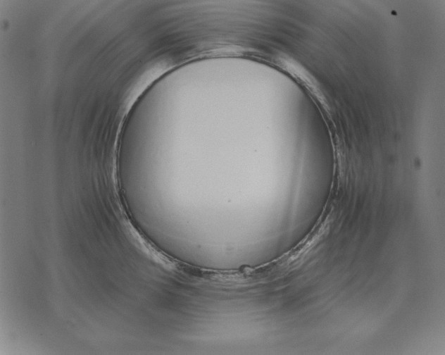 X0000071831194200607211754