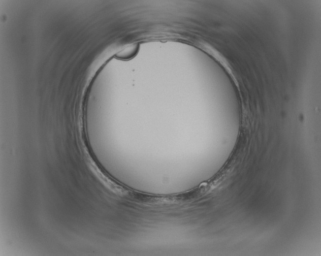 X0000071831195200607211754