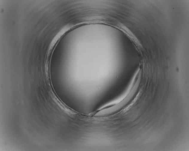 X0000071831196200607211754