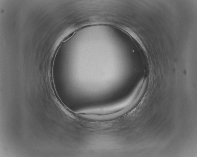 X0000071831197200607211754